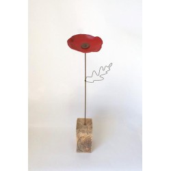 Coquelicot solo