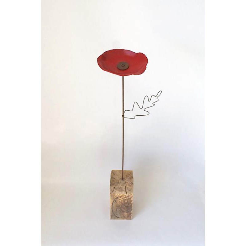 Coquelicot solo