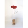 Coquelicot solo